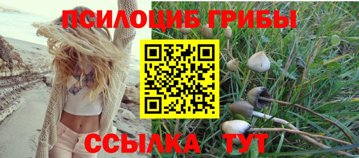 Десногорск  Галлюциногенные грибы Psilocybe  Псилоцибиновые грибы ЛСД  Вход с VPN 